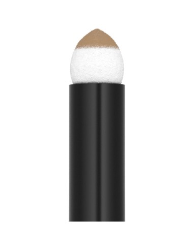 MAYBELLINE EXPRESS BROW SATIN DUO